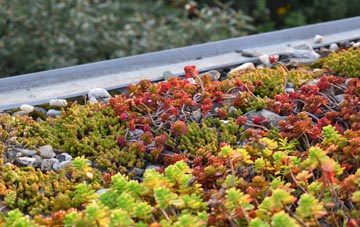 the cost of No Mans Land green roof installation