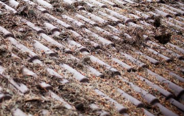 No Mans Land roof cleaning companies